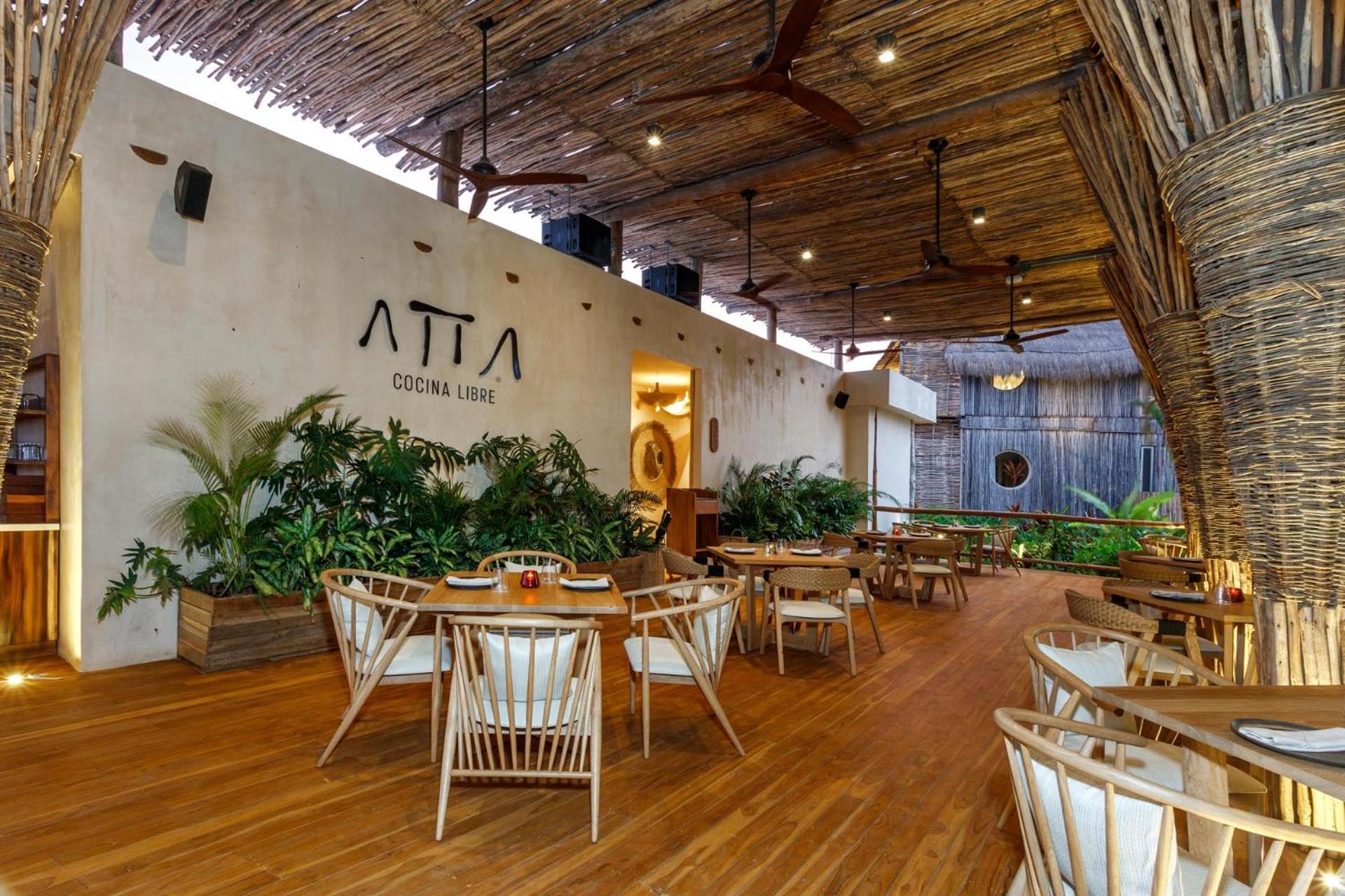 Hotel Shibari - Restaurant & Cenote Club 툴룸 외부 사진